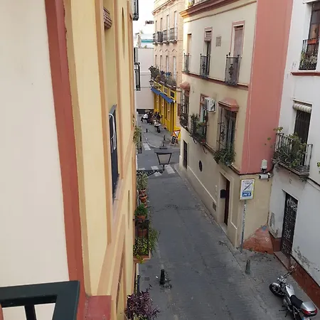 Marco Sancho Centro-alameda-setas * Seville