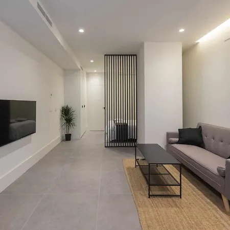 Apartment Presidente 2 Seville