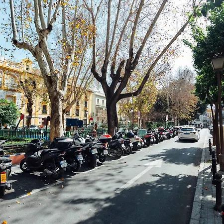 Apartment Luxury And Cozy- 1bd 1bth- Setas Seville