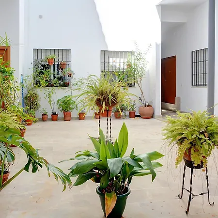 Estudio Plaza De La Encarnacion