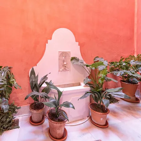 Ohliving Virgenes 7 Casa vacanze Siviglia