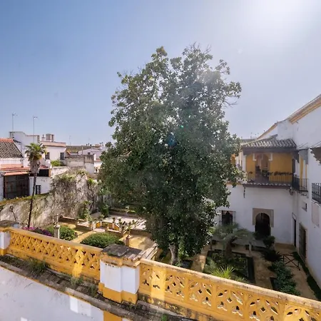Luxurious Duplex 2bd 2bth Over Casa Pilatos Apartment Seville