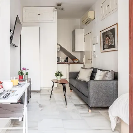 Apartment Bonito Estudio En Calle Feria