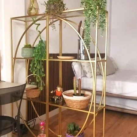 Oasis Fernando Iv