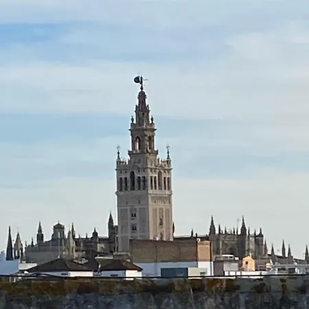 Atico Caleria Con Vistas A La Giralda *
