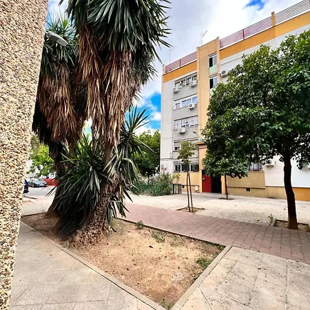 Comfortable & Apartamento