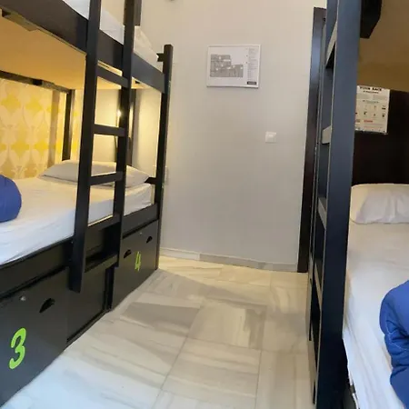 بيت شباب شباب أواسيز باكباكيرز بالاس سيفيل *