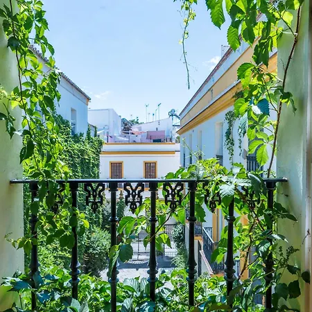 Vidrio 36 Apartamento