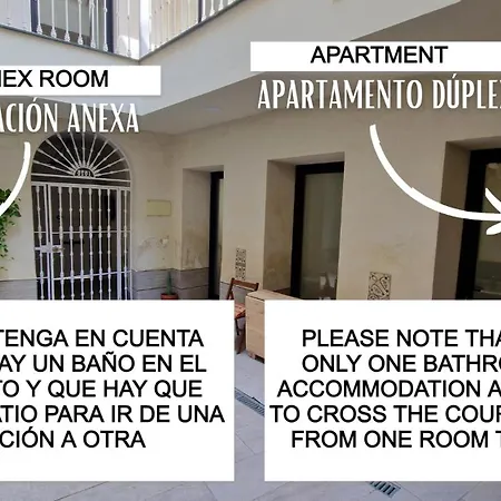 Appartement Duplex El Patio En Centro De