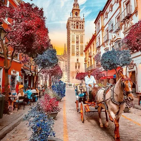 Flamenco Bed & Breakfast Seville