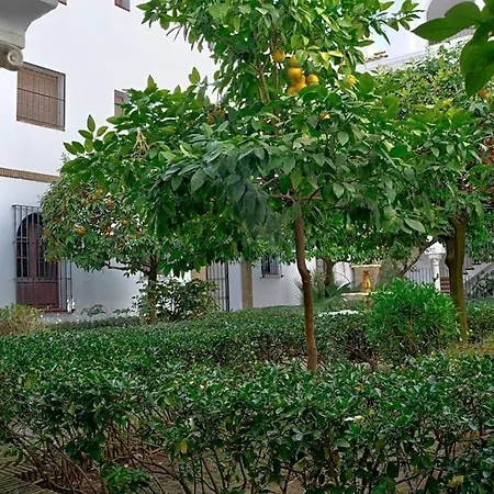 Alfaro Historic Aparment Apartment *