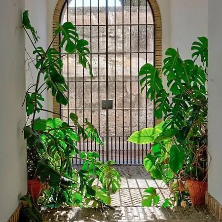 Apartment Alfaro Historic Aparment Seville