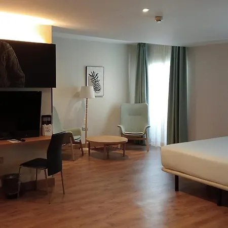 Hotel Petit Palace Santa Cruz 4*