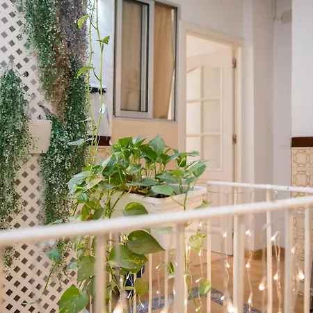 Homestay La Casa De Flores