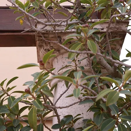 Casa Romana Boutique Sevilla