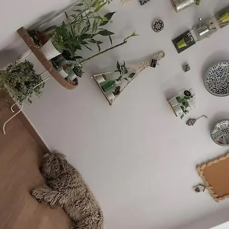 Apartment Inocentes Sevilla