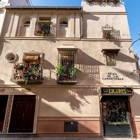 Apartment C2 With Terrace In The Arenal, Cathedral