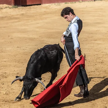 Hospedium Rural Virgen Maria Hotel 2*