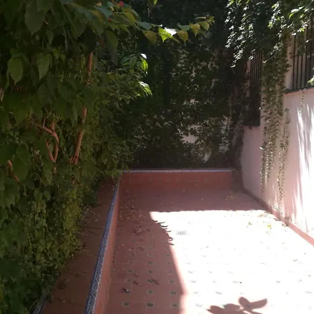Apartment Luz Y Tranquilidad Barrio De Sta Cruz