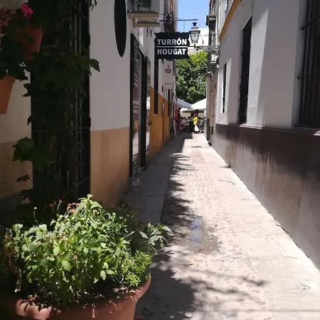 Apartment Luz Y Tranquilidad Barrio De Sta Cruz *