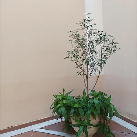 De Lux Apartment Seville
