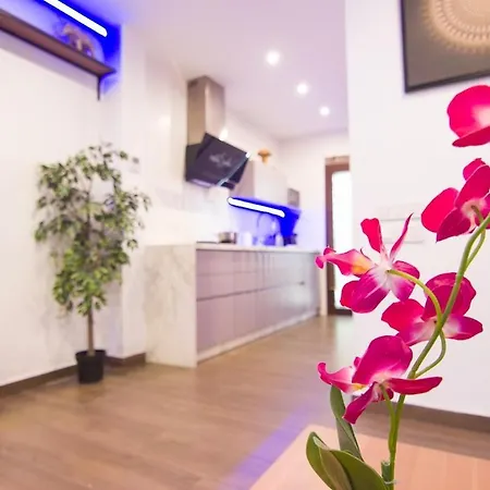 Apartamento San Marcos Ii