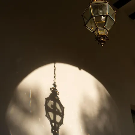 ホテル Boutique Casa Del Limonero 2*