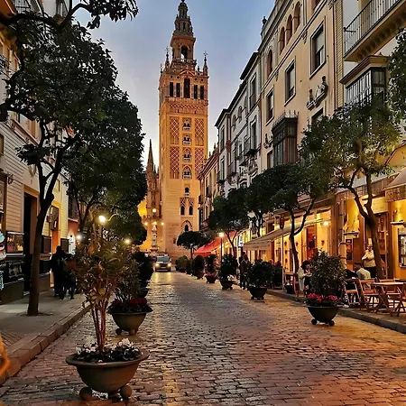 Center Setas 1 * Siviglia