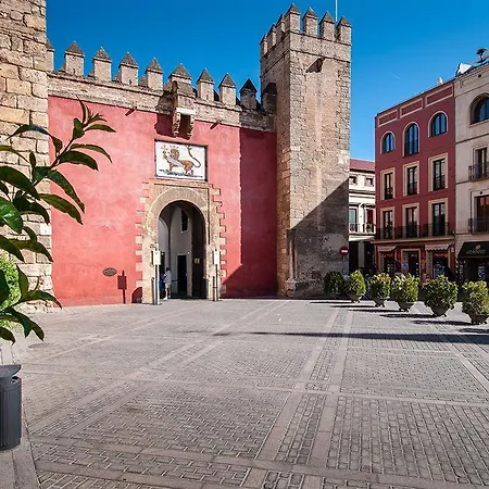 Appartamento Murillo Alcázar