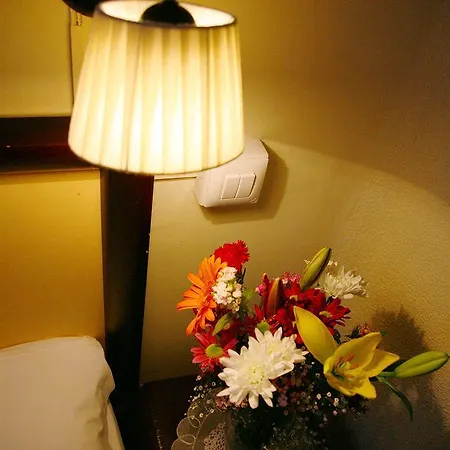 Bed & Breakfast Nuevo Suizo