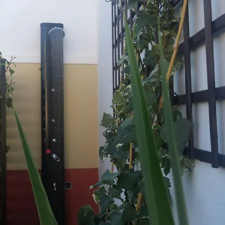 多纳罗拉酒店