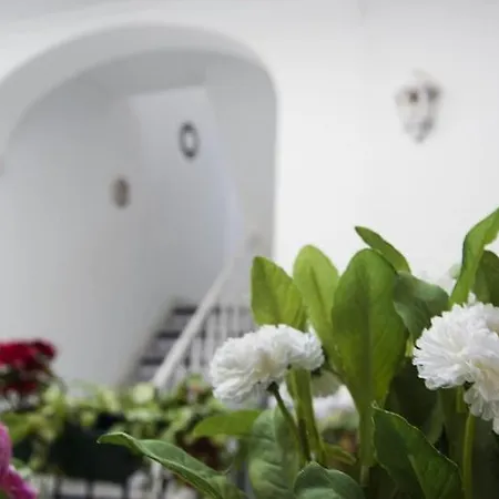 Triana Backpackers Hostel