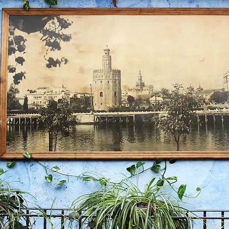Lis Guest house Seville