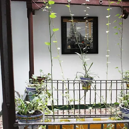 Lis Guest house