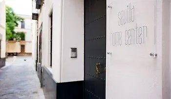 塞维利亚中央公寓酒店 *