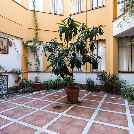 Apartment Loft Basilica Macarena Seville