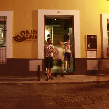 Hostel Black Swan *