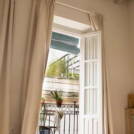 Eva Recommends Sentencia Seville
