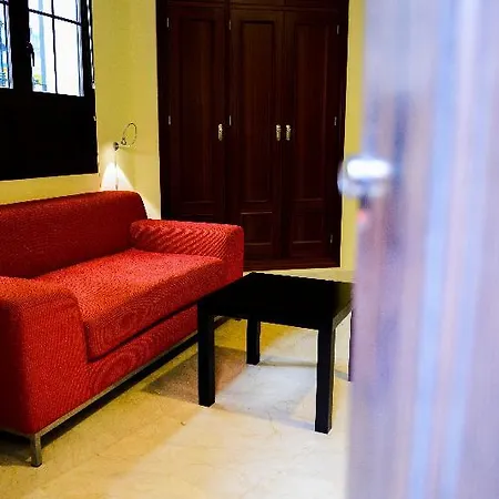 Rey De Sevilla Flats - Macarena *