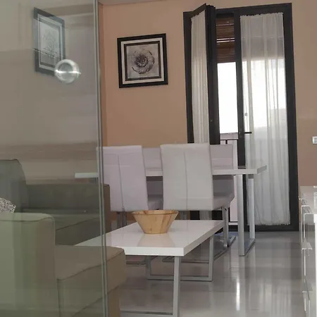 Atico Duplex Plaza Del Salvador Διαμέρισμα *
