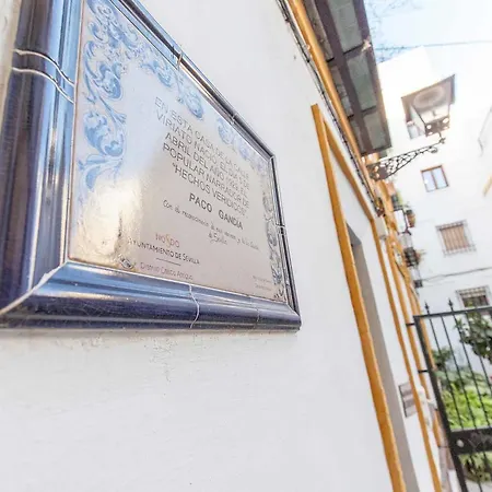 Apartamento Viriato Centro *