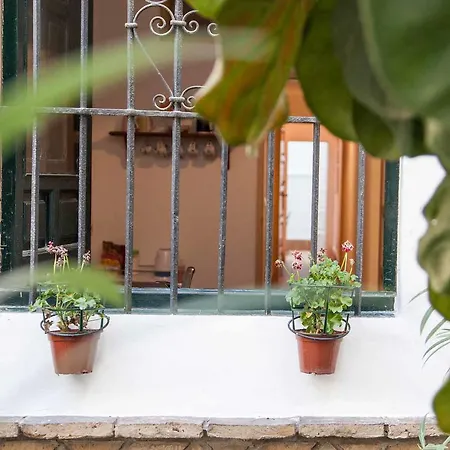 Viriato Centro Apartamento
