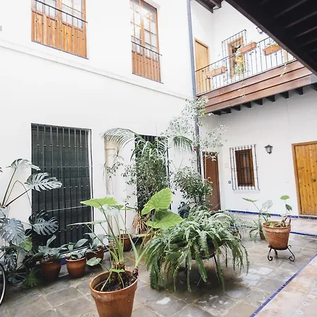 Casa De Las Golondrinas Apartment Seville