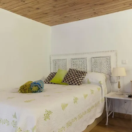 Loft / Duplex With Charming Historic Center. Wifi Apartamento