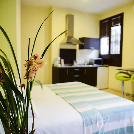 Rey De Sevilla Flats - Macarena Siviglia