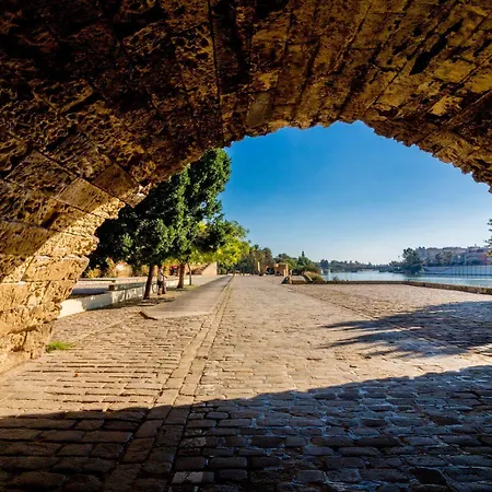 Jentoft Seville