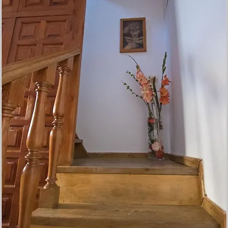 Casa De Pajaros
