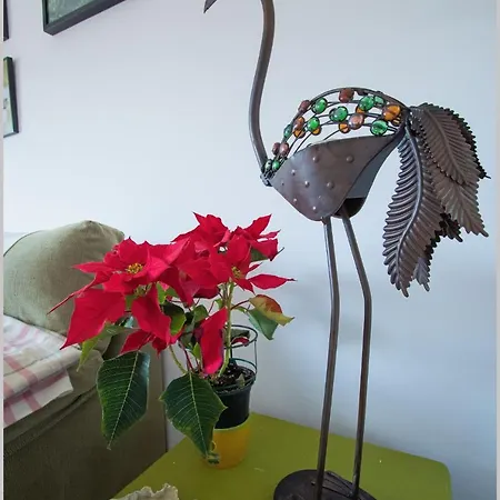 Casa De Pajaros Apartment