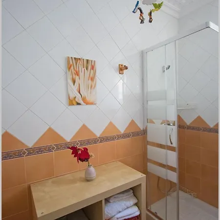 Casa De Pajaros