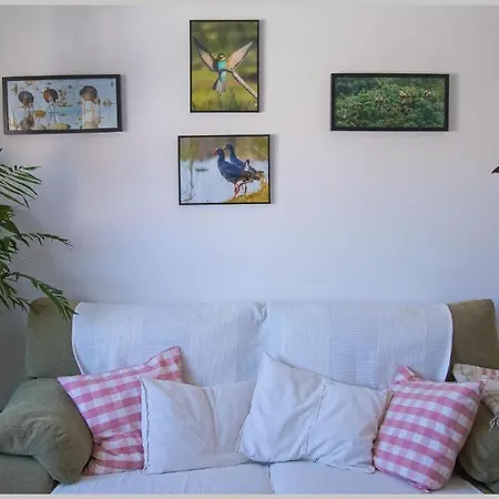 Casa De Pajaros Apartment Seville